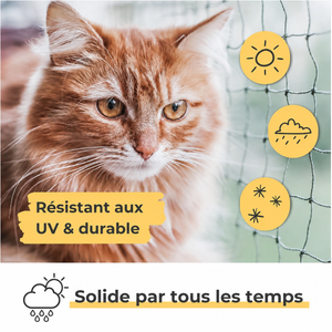 Filet de protection pour chat - Balcon & Fenêtre