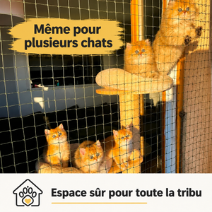 Filet de protection pour chat - Balcon & Fenêtre