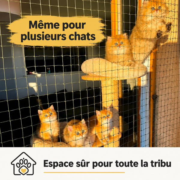Filet de protection pour chat - Balcon & Fenêtre